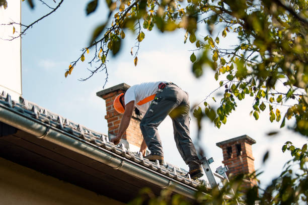 Best Metal Roofing Contractor  in Oakfield, WI