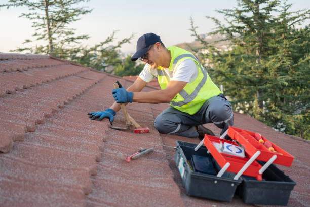 Best Local Roofing Companies  in Oakfield, WI