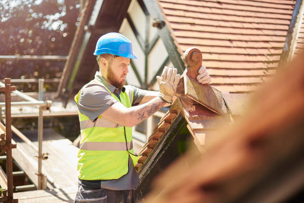 Best Roof Gutter Cleaning  in Oakfield, WI