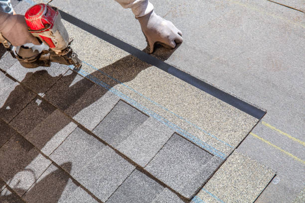 Best Metal Roofing Contractor  in Oakfield, WI